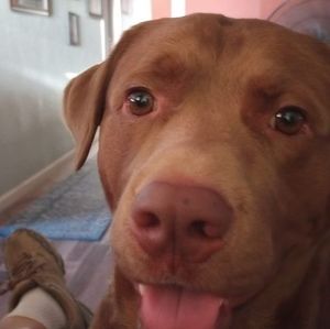 Meet your Posher, Mike